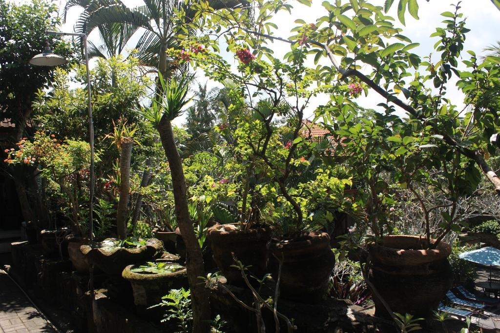 Raditia Homestay Ubud  Exterior photo